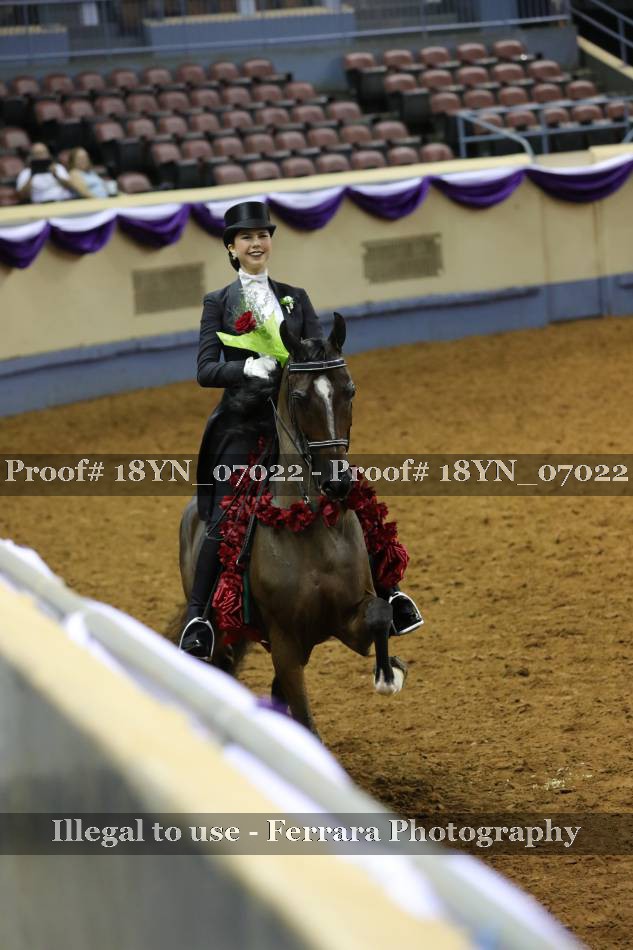 Proof 18YN_07022