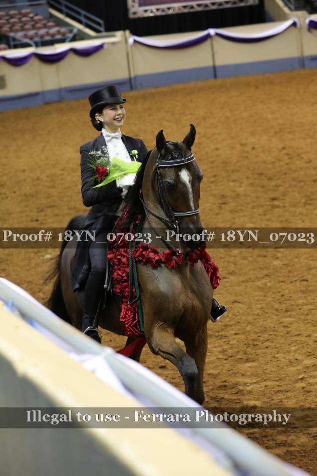 Proof 18YN_07023