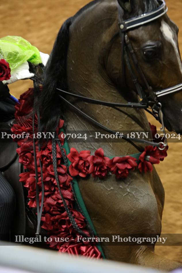 Proof 18YN_07024