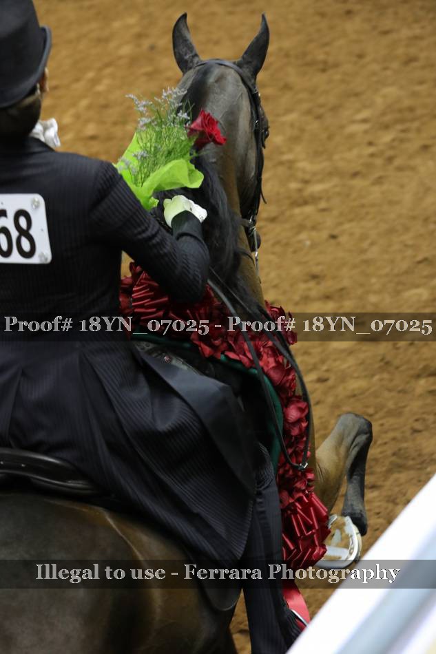 Proof 18YN_07025