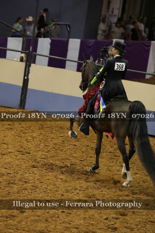 Proof 18YN_07026