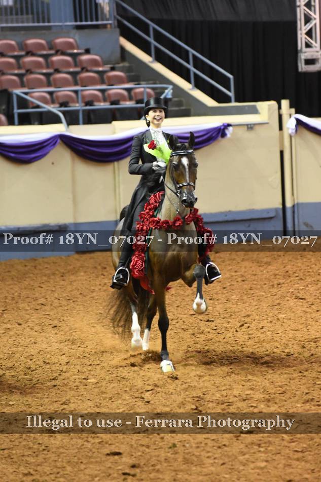 Proof 18YN_07027