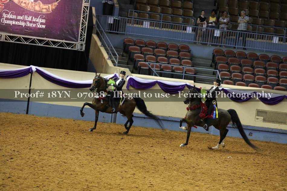 Proof 18YN_07028