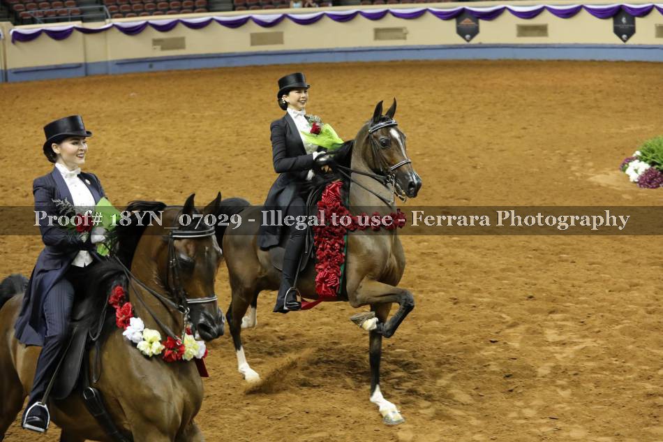 Proof 18YN_07029