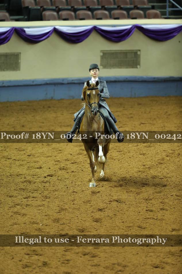 Proof 18YN_00242