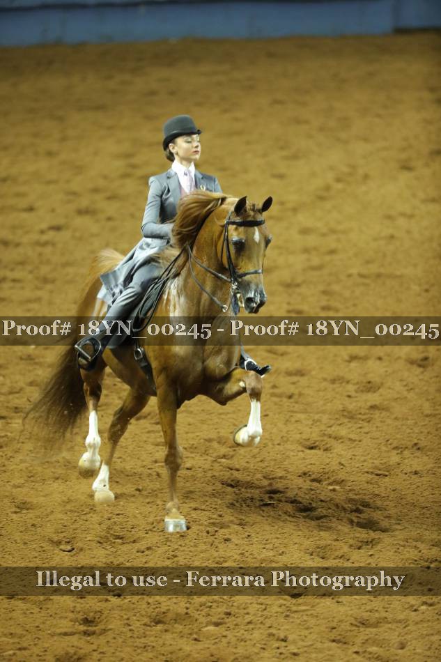 Proof 18YN_00245