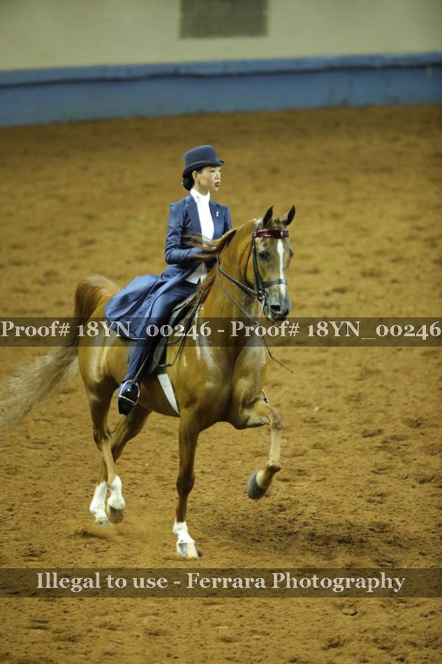 Proof 18YN_00246