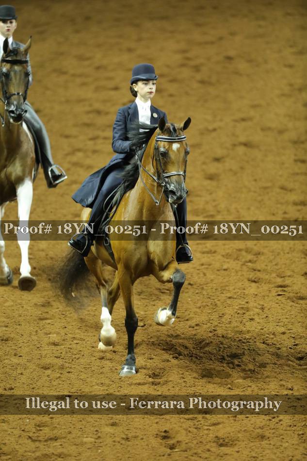 Proof 18YN_00251