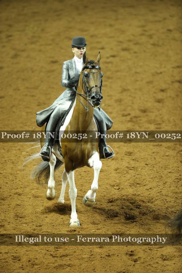 Proof 18YN_00252