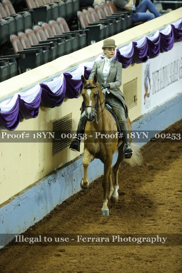 Proof 18YN_00253