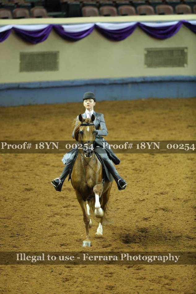 Proof 18YN_00254