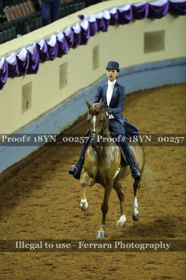 Proof 18YN_00257