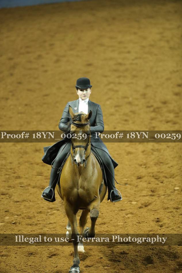 Proof 18YN_00259