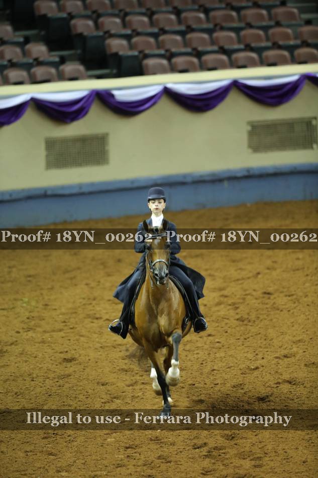 Proof 18YN_00262