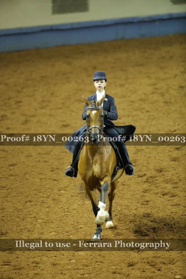 Proof 18YN_00263