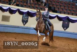 18YN_00265 proof