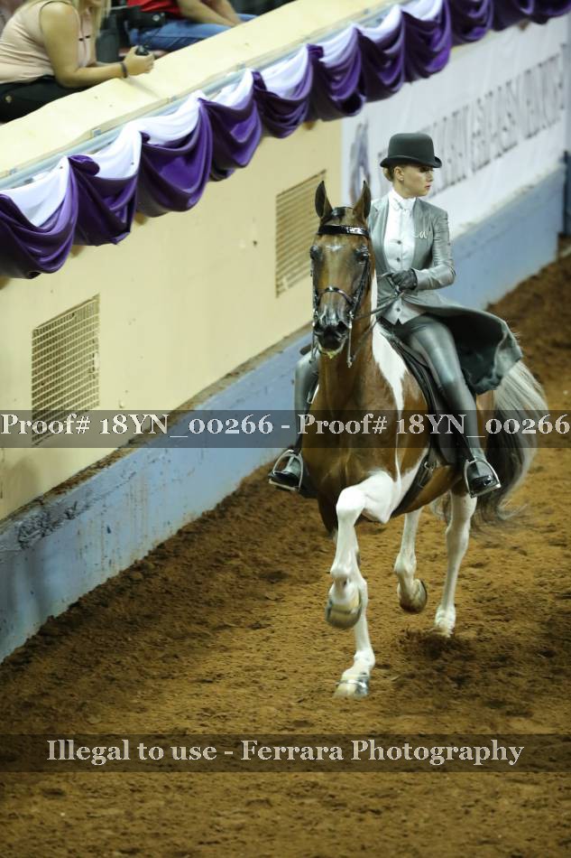 Proof 18YN_00266