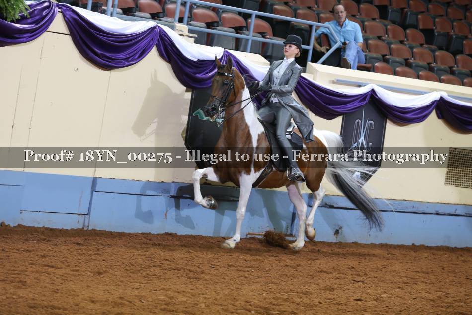 Proof 18YN_00275