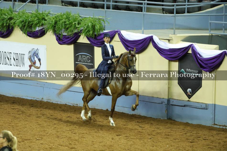 Proof 18YN_00295