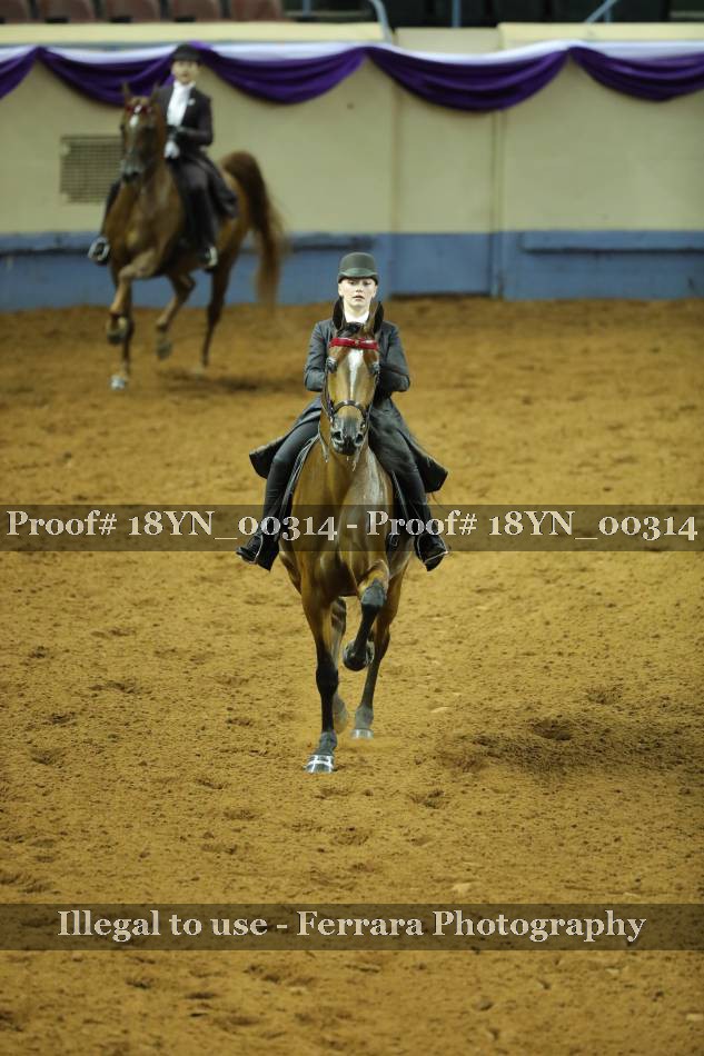 Proof 18YN_00314