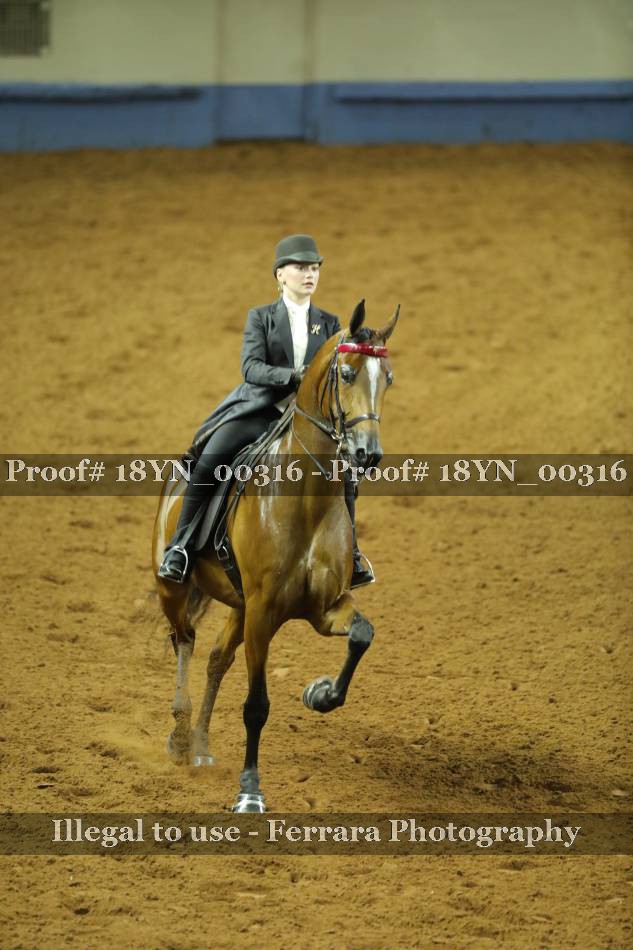 Proof 18YN_00316