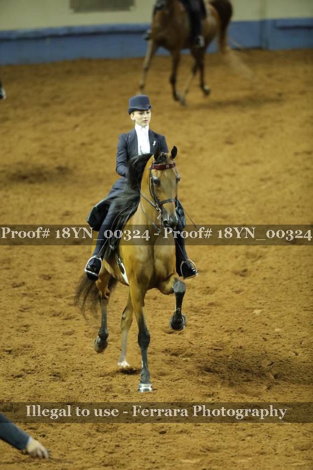 Proof 18YN_00324