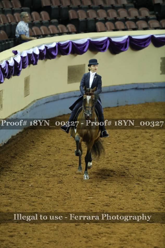 Proof 18YN_00327