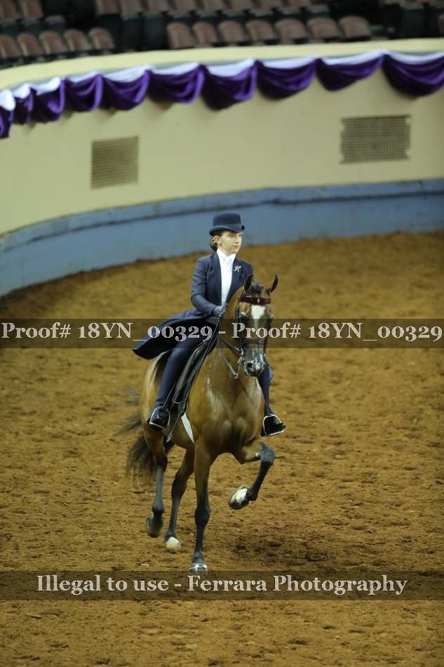 Proof 18YN_00329