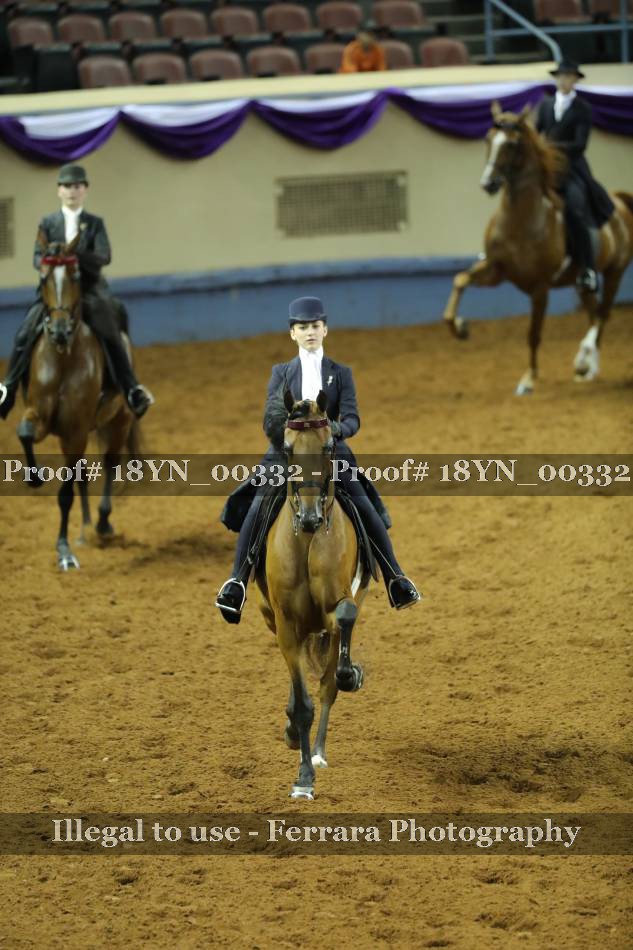 Proof 18YN_00332