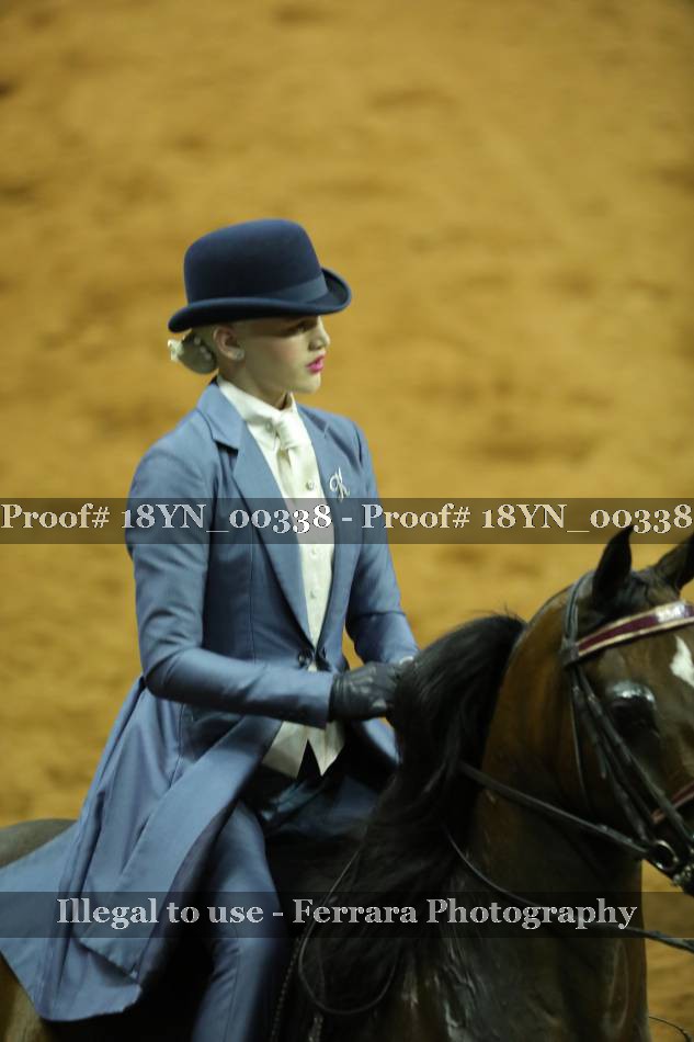 Proof 18YN_00338