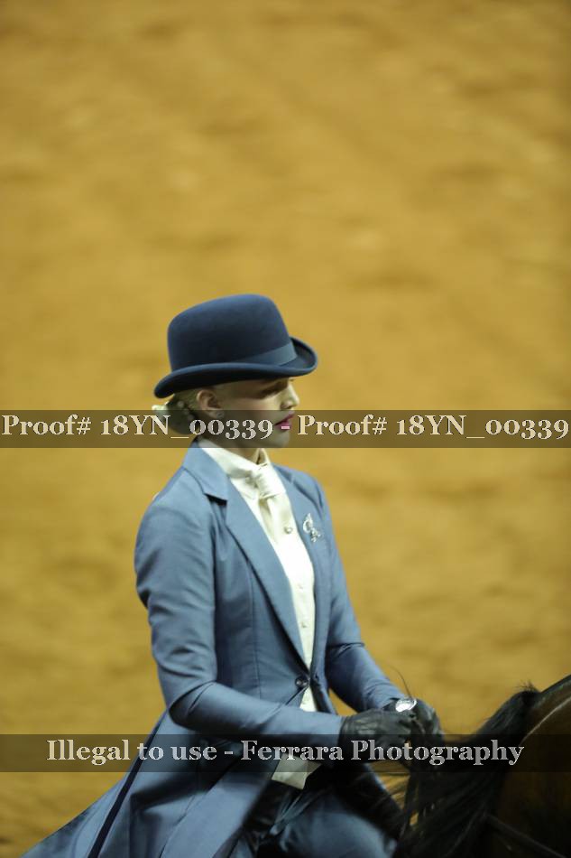 Proof 18YN_00339