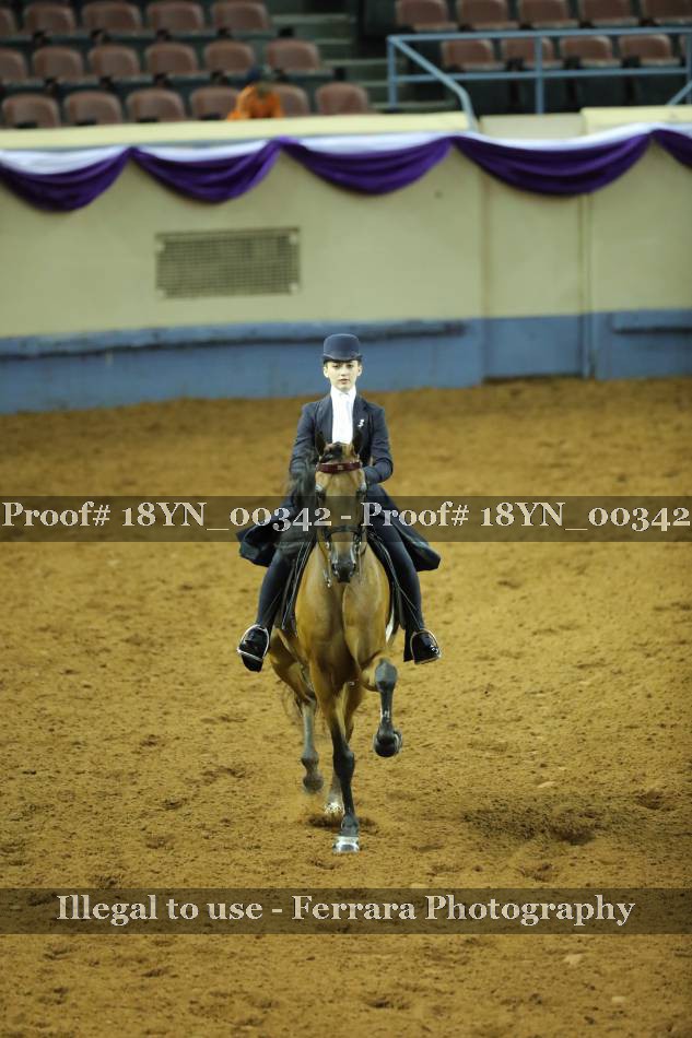 Proof 18YN_00342