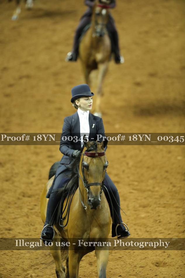 Proof 18YN_00345