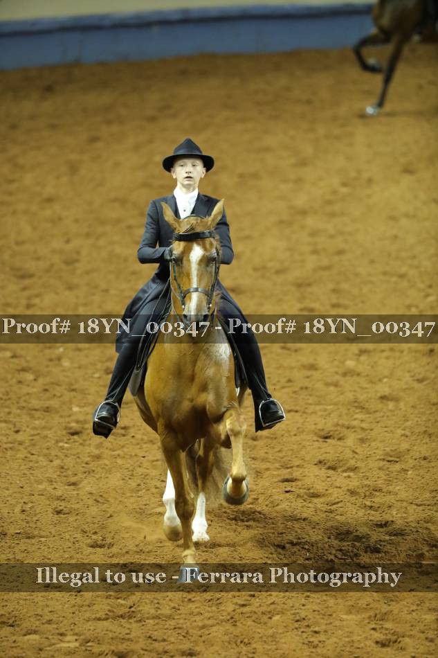 Proof 18YN_00347