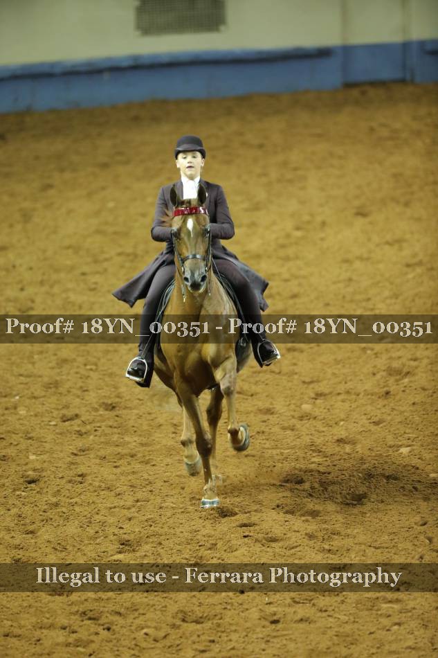 Proof 18YN_00351