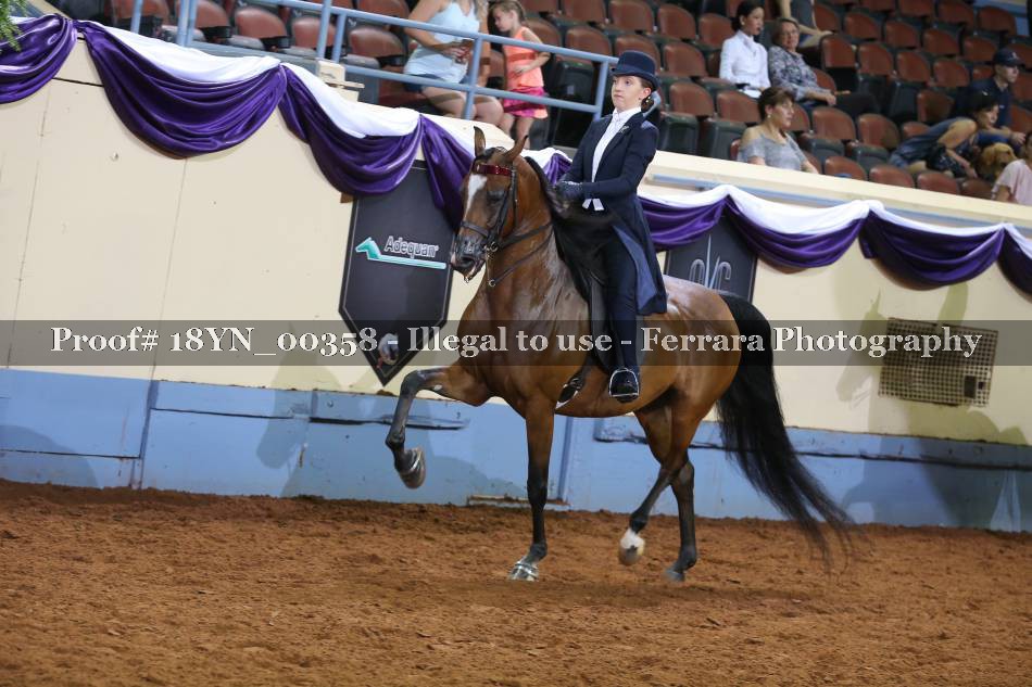 Proof 18YN_00358