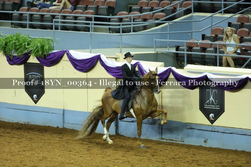 Proof 18YN_00364