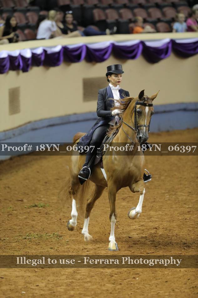 Proof 18YN_06397
