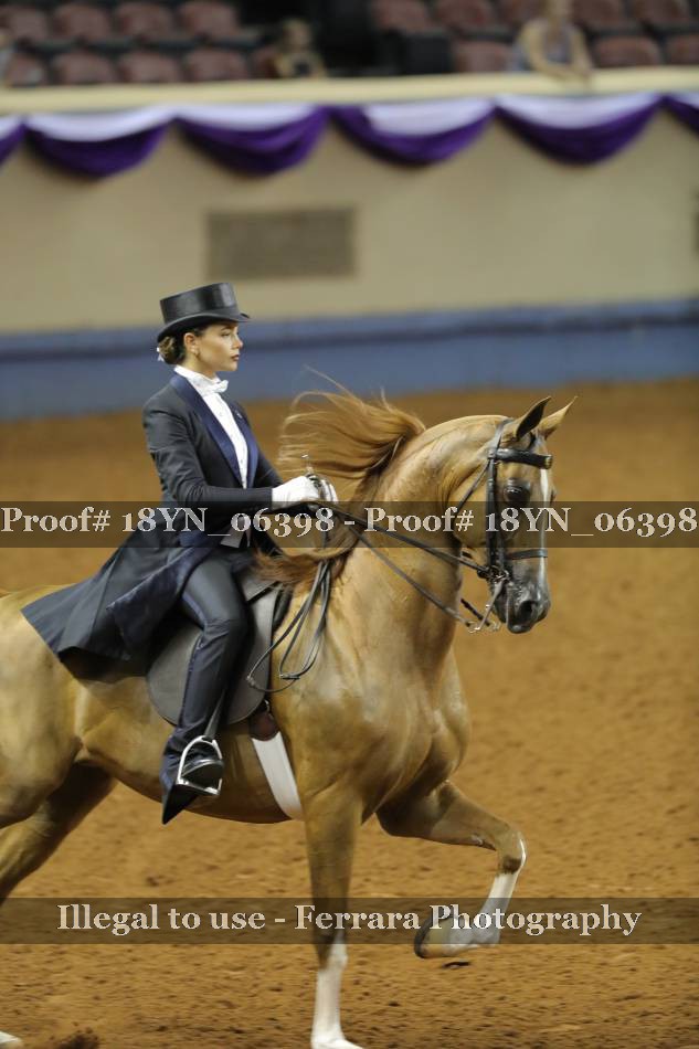 Proof 18YN_06398