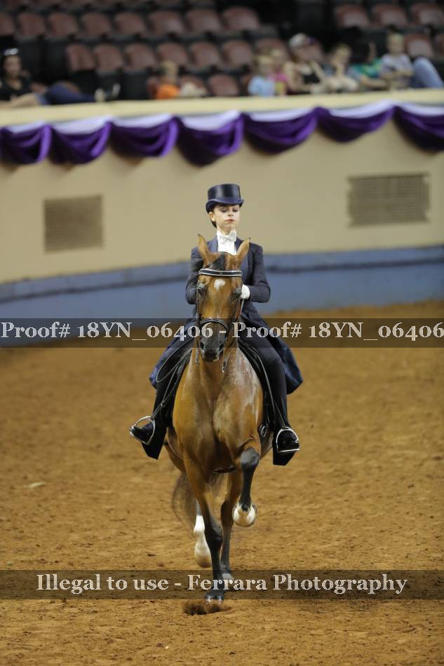 Proof 18YN_06406