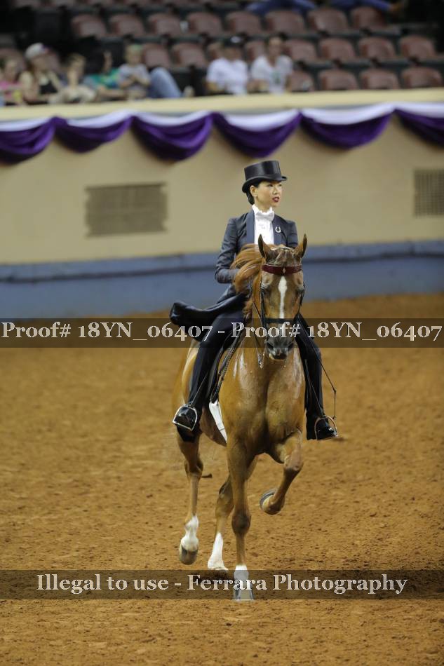 Proof 18YN_06407