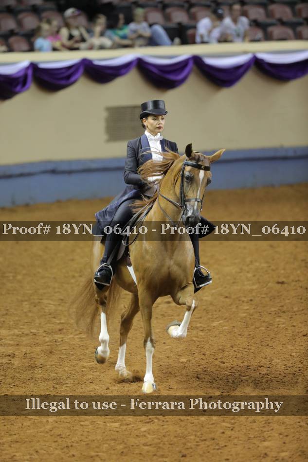 Proof 18YN_06410