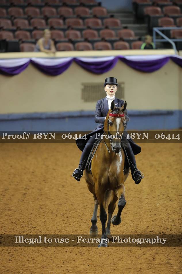 Proof 18YN_06414