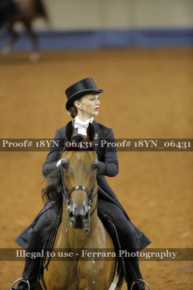 Proof 18YN_06431