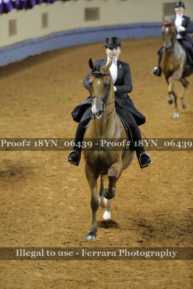 Proof 18YN_06439
