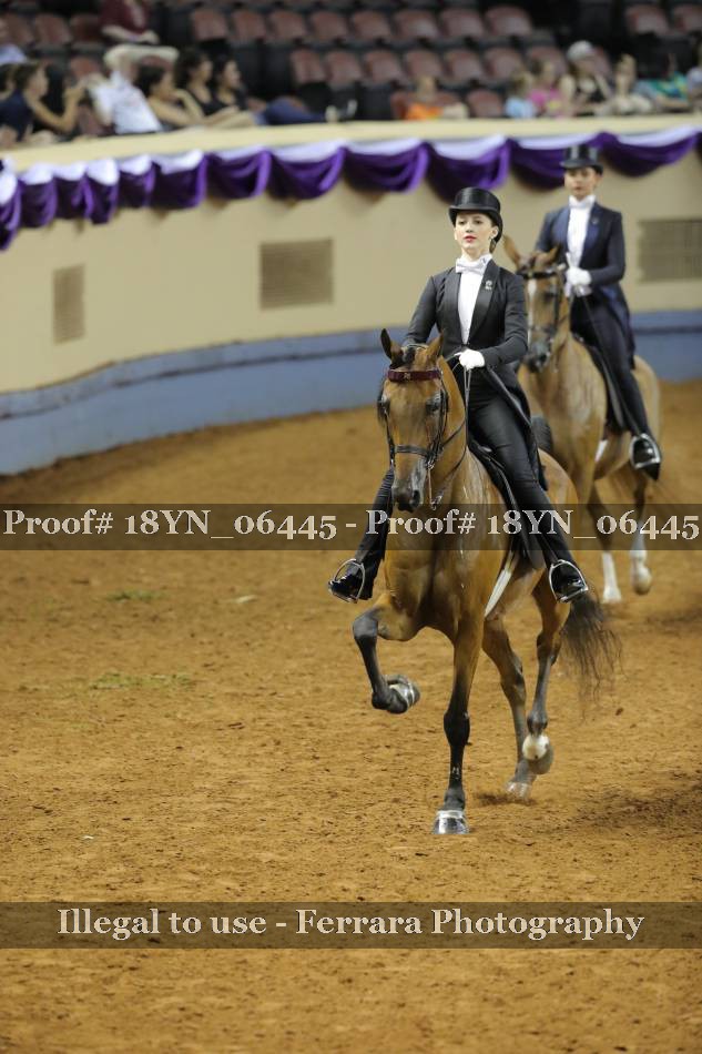 Proof 18YN_06445