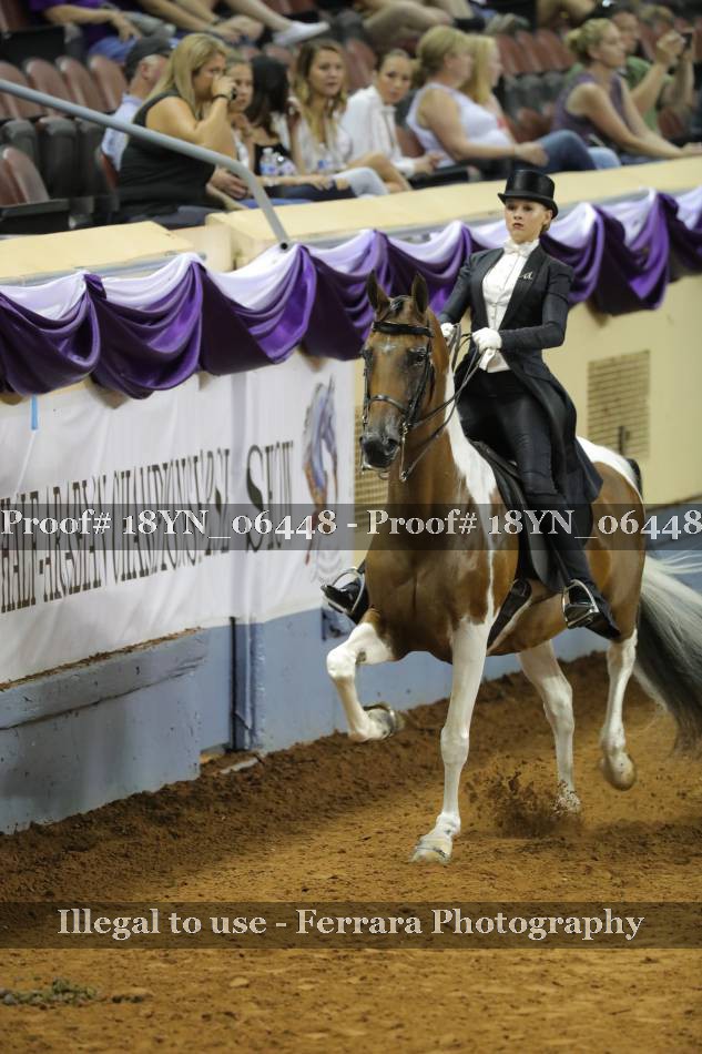 Proof 18YN_06448