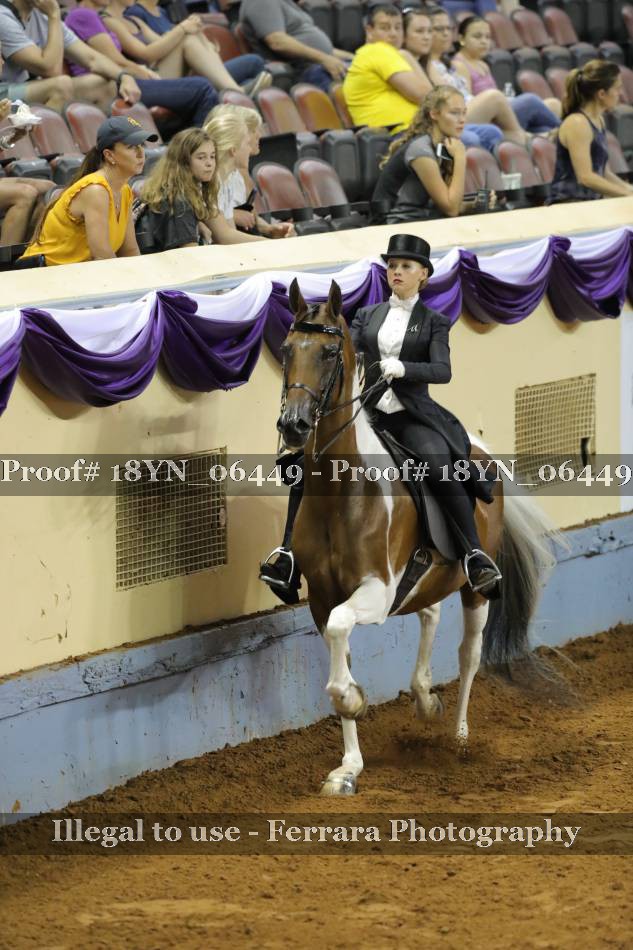 Proof 18YN_06449