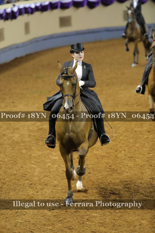 Proof 18YN_06454