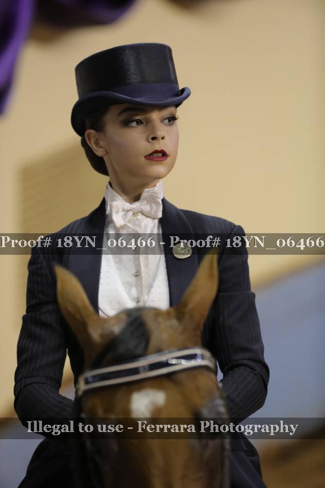 Proof 18YN_06466